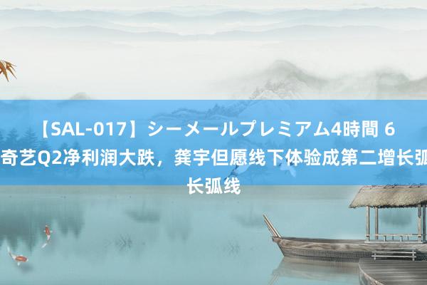 【SAL-017】シーメールプレミアム4時間 6 爱奇艺Q2净利润大跌，龚宇但愿线下体验成第二增长弧线