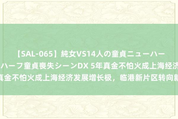 【SAL-065】純女VS14人の童貞ニューハーフ 二度と見れないニューハーフ童貞喪失シーンDX 5年真金不怕火成上海经济发展增长极，临港新片区转向新阶段