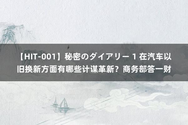 【HIT-001】秘密のダイアリー 1 在汽车以旧换新方面有哪些计谋革新？商务部答一财