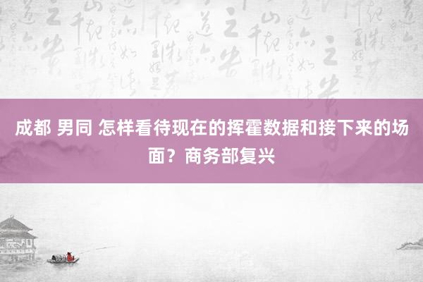 成都 男同 怎样看待现在的挥霍数据和接下来的场面？商务部复兴