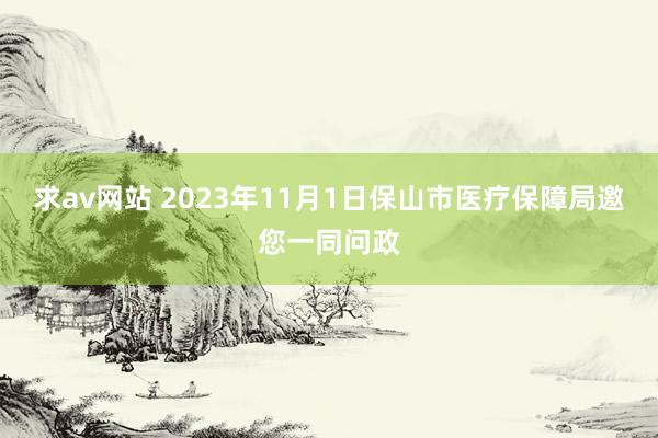 求av网站 2023年11月1日保山市医疗保障局邀您一同问政