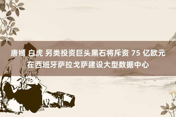 唐嫣 白虎 另类投资巨头黑石将斥资 75 亿欧元在西班牙萨拉戈萨建设大型数据中心