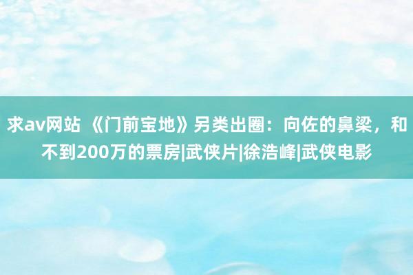 求av网站 《门前宝地》另类出圈：向佐的鼻梁，和不到200万的票房|武侠片|徐浩峰|武侠电影