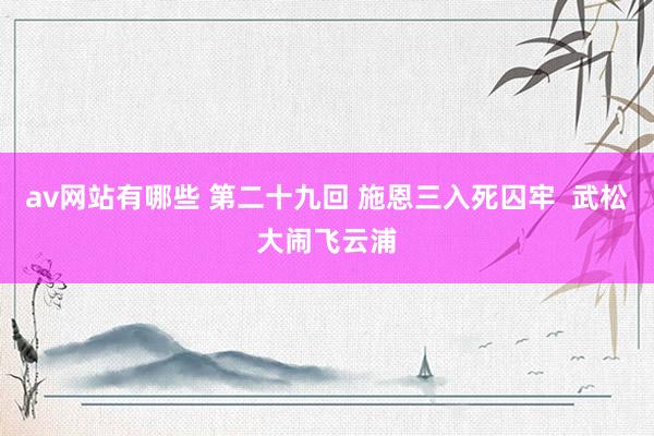 av网站有哪些 第二十九回 施恩三入死囚牢  武松大闹飞云浦