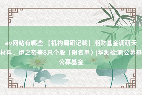 av网站有哪些 【机构调研记载】湘财基金调研天赐材料、伊之密等8只个股（附名单）|华测检测|公募基金