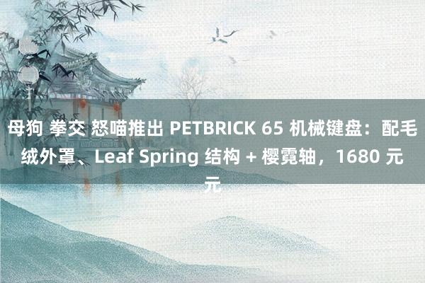 母狗 拳交 怒喵推出 PETBRICK 65 机械键盘：配毛绒外罩、Leaf Spring 结构 + 樱霓轴，1680 元