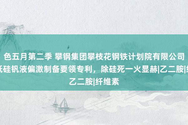 色五月第二季 攀钢集团攀枝花钢铁计划院有限公司肯求低硅钒液偏激制备要领专利，除硅死一火显赫|乙二胺|纤维素